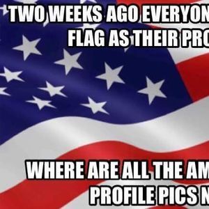 Meet your Posher, Harland